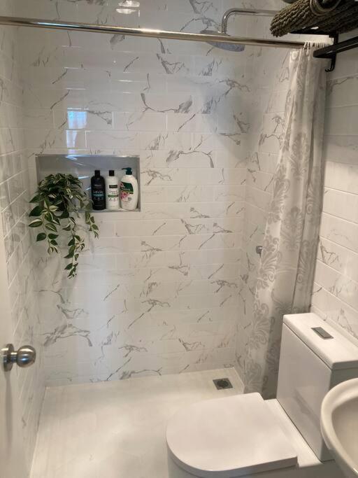 Newly Renovated Appartamento *